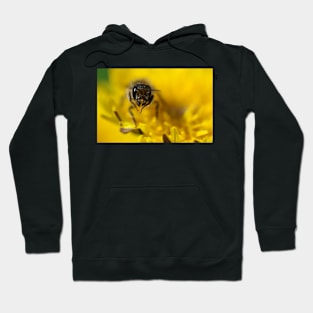 Bee Hoodie